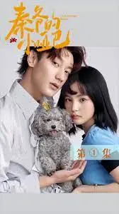 《秦爷的小哑妻》：霸道总裁爱上我，甜宠升级，虐恋情深，小哑妻的逆袭之路！