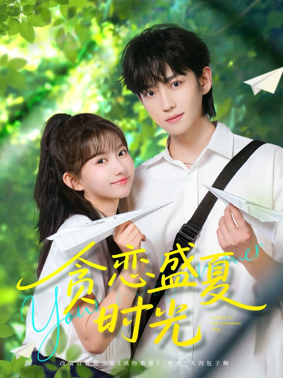 贪恋盛夏时光 海报